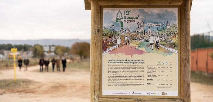 Bosque sigaus alcala henares