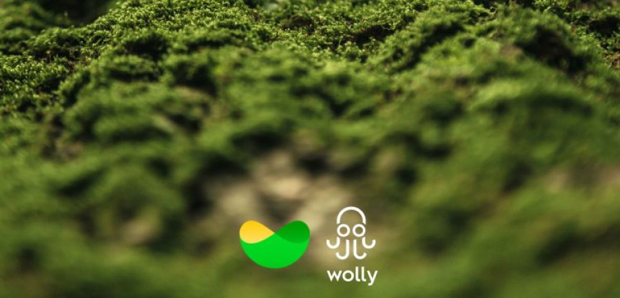 WOLLY CLIMATE STRIPE
