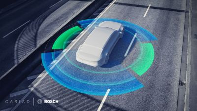 Bosch cariad