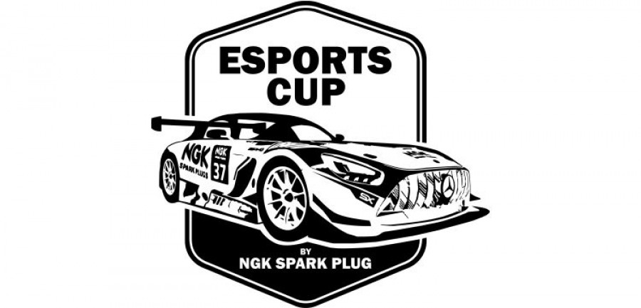 Ngk spark plug esports cup