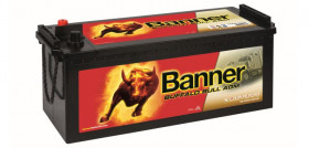 Banner Buffalo Bull AGM