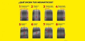 Que dicen tus neunaticos imagen