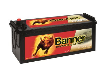 Banner Buffalo Bull AGM 710 01