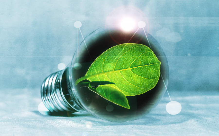 Lightbulb 2632075