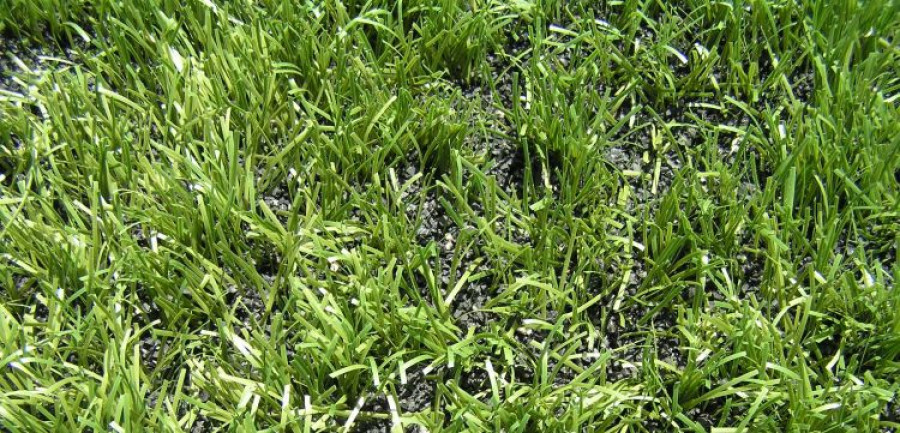 Signus campo futbol neumaticos