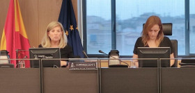 Faconauto marta blazquez congreso diputados