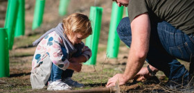 @IzanGalian bosch reforestacion