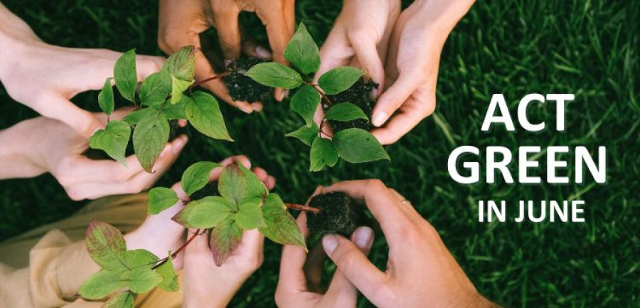 Act green june toyota