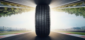 Falken1