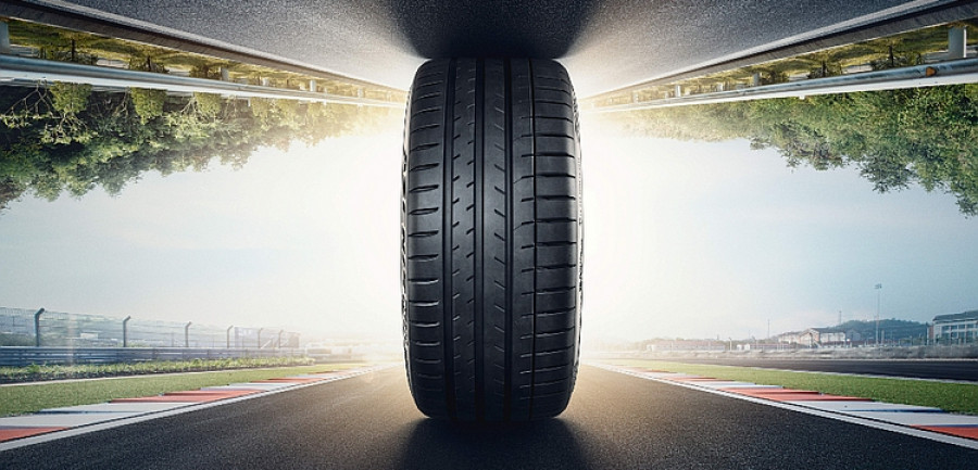 Falken1