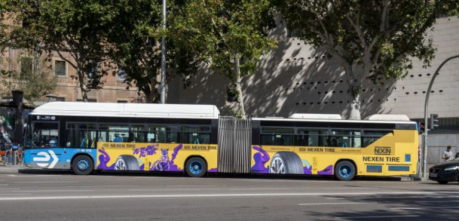 Nexen soledad autobuses