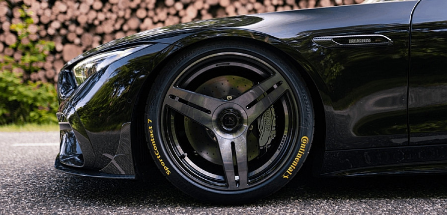 Contibrabus