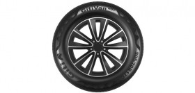Tiresur GitiVan HD1 neumatico furgonetas