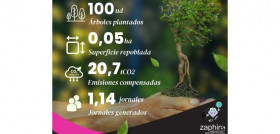 ZAPHIRO ÁRBOLES