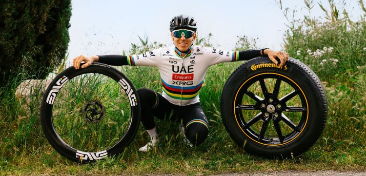 Continental Pogaca ciclismo