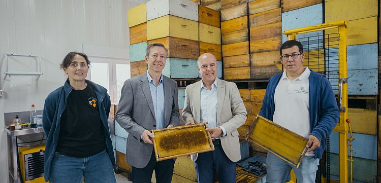 Bannerbees