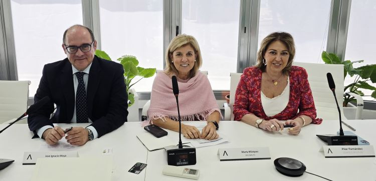 Faconauto Ignacio Moya Marta Blazquez Pilar Fernandez
