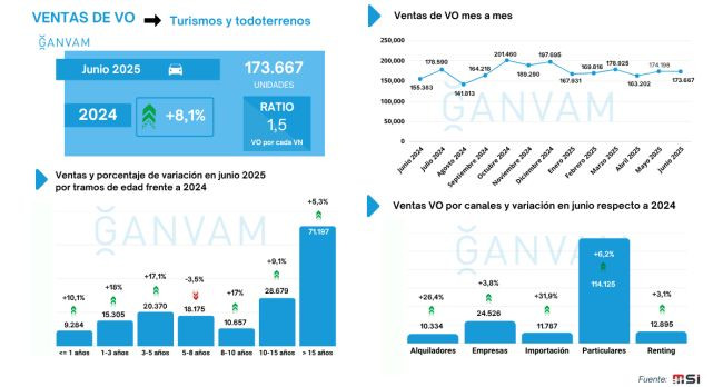 Ganvam Ventas VO junio 2025 por edades y canales 2
