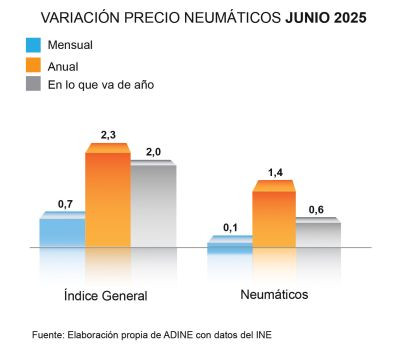 Adine precio neumaticos junio 2025 grafica 2