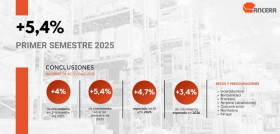 Ancera actividad primer semestre 2025