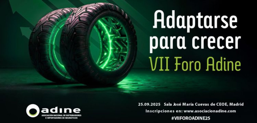 VII Foro Adine