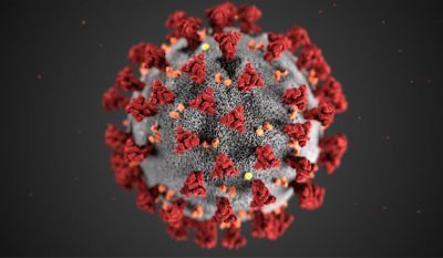 coronavirus