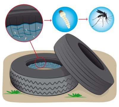 TNU MOSQUITOS NEUMATICOS 2